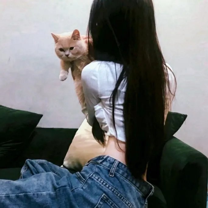 洗钞事务所